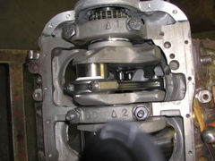 DSCN5797